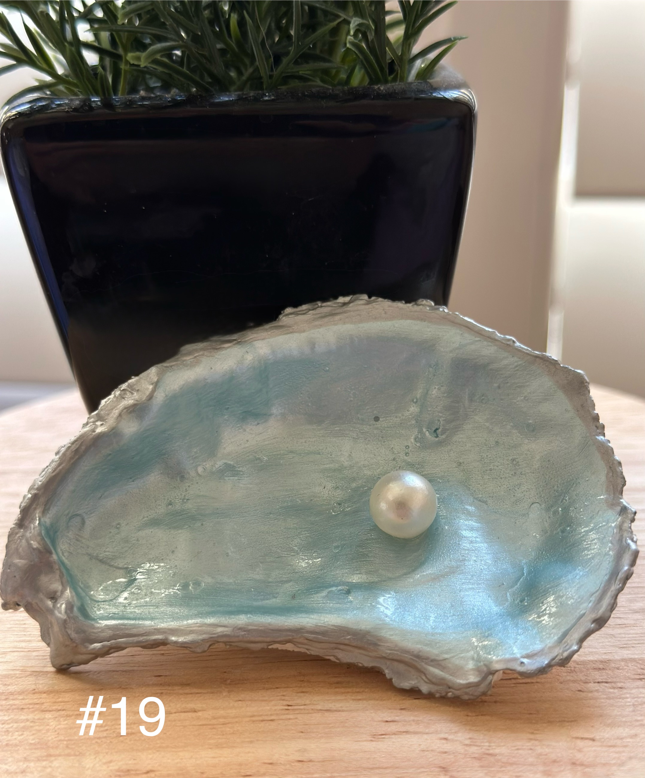 Pearlescent Oyster Shells