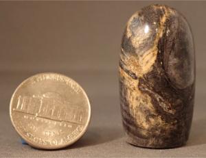 Wooden Magnets - Multiple Options Available